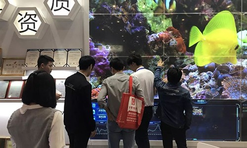 視通聯(lián)合2019年廣州LED展回顧